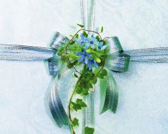 Tapeta Nature Flowers 536.jpg